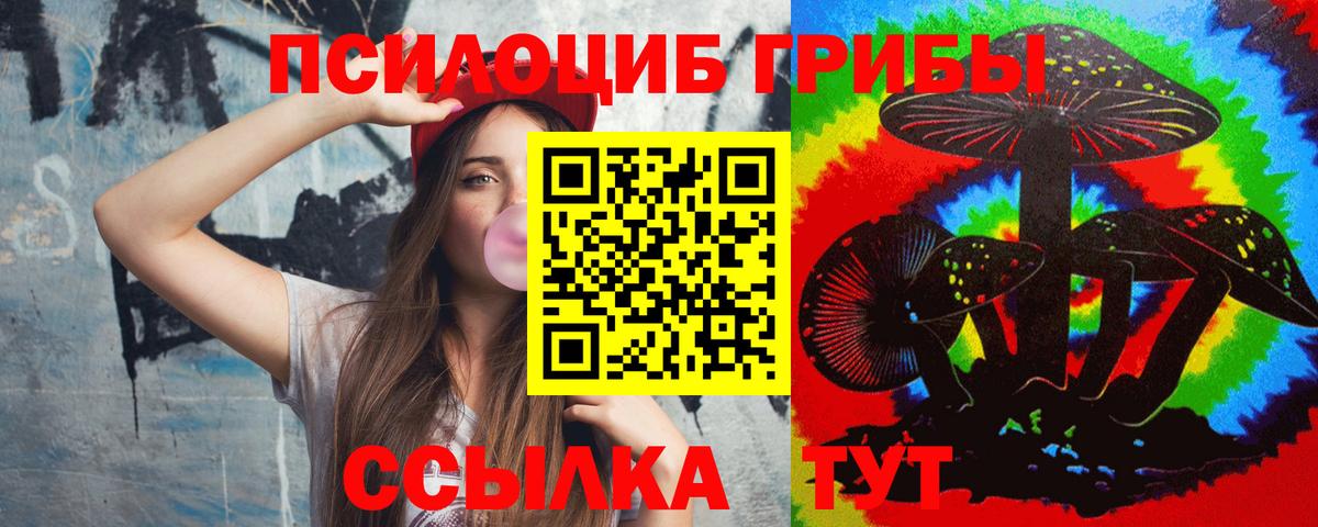Галлюциногенные грибы MAGIC MUSHROOMS  Вход с VPN  Щёлково 